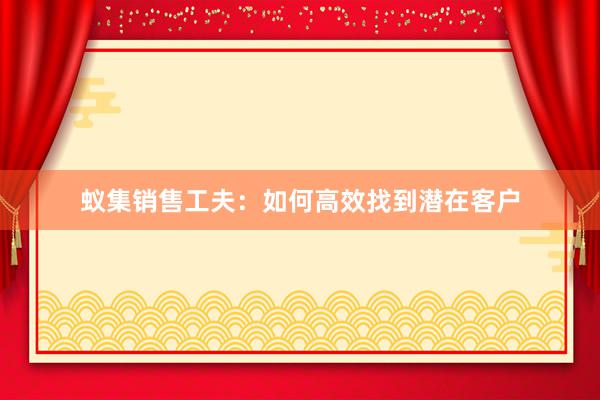 蚁集销售工夫：如何高效找到潜在客户