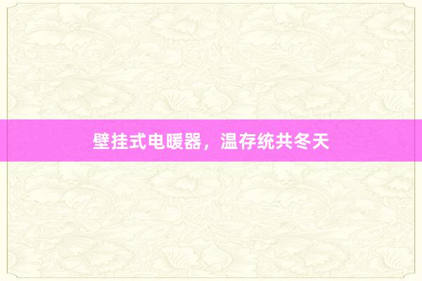 壁挂式电暖器，温存统共冬天
