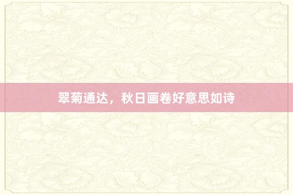 翠菊通达，秋日画卷好意思如诗