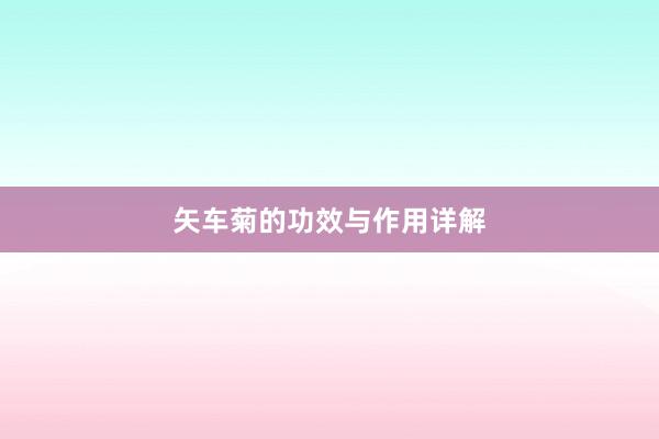 矢车菊的功效与作用详解