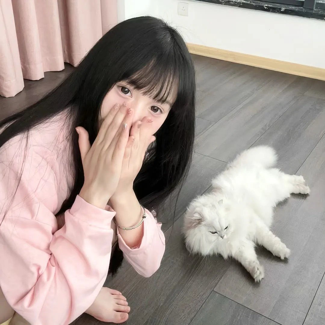 失忆总裁爱上我