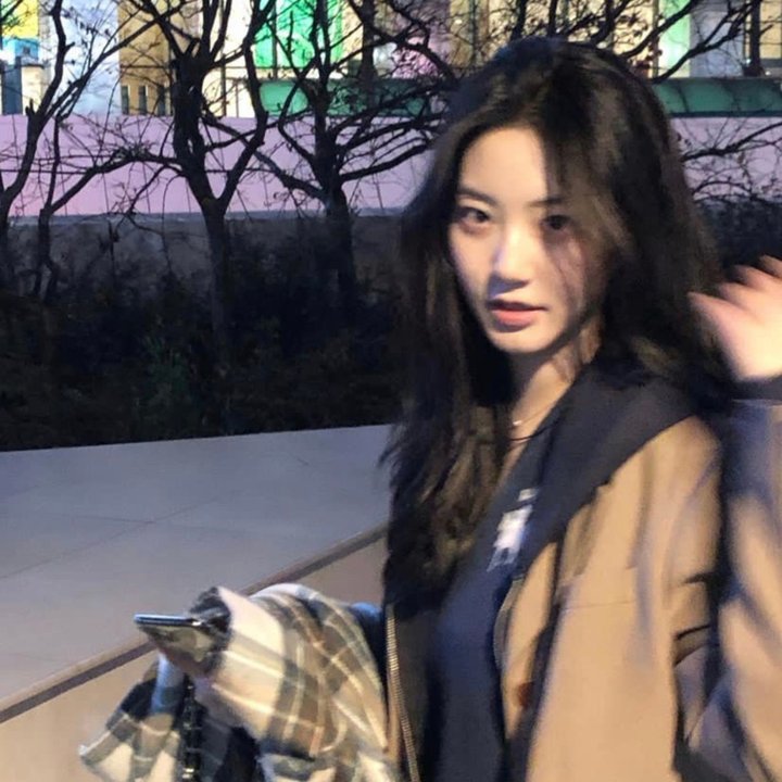 食草老龙被冠以恶龙之名第二季